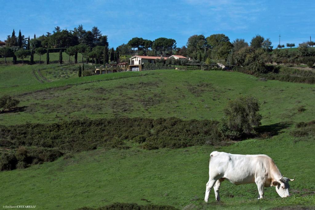 Bauernhof Valle Siriaca *
